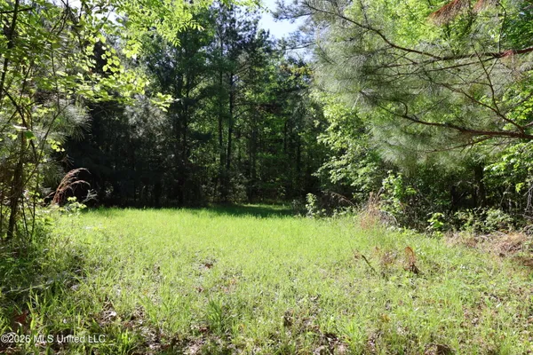$1,300,000 | 1060 Pearline Bailey Rd Port, Port Gibson, MS 39150