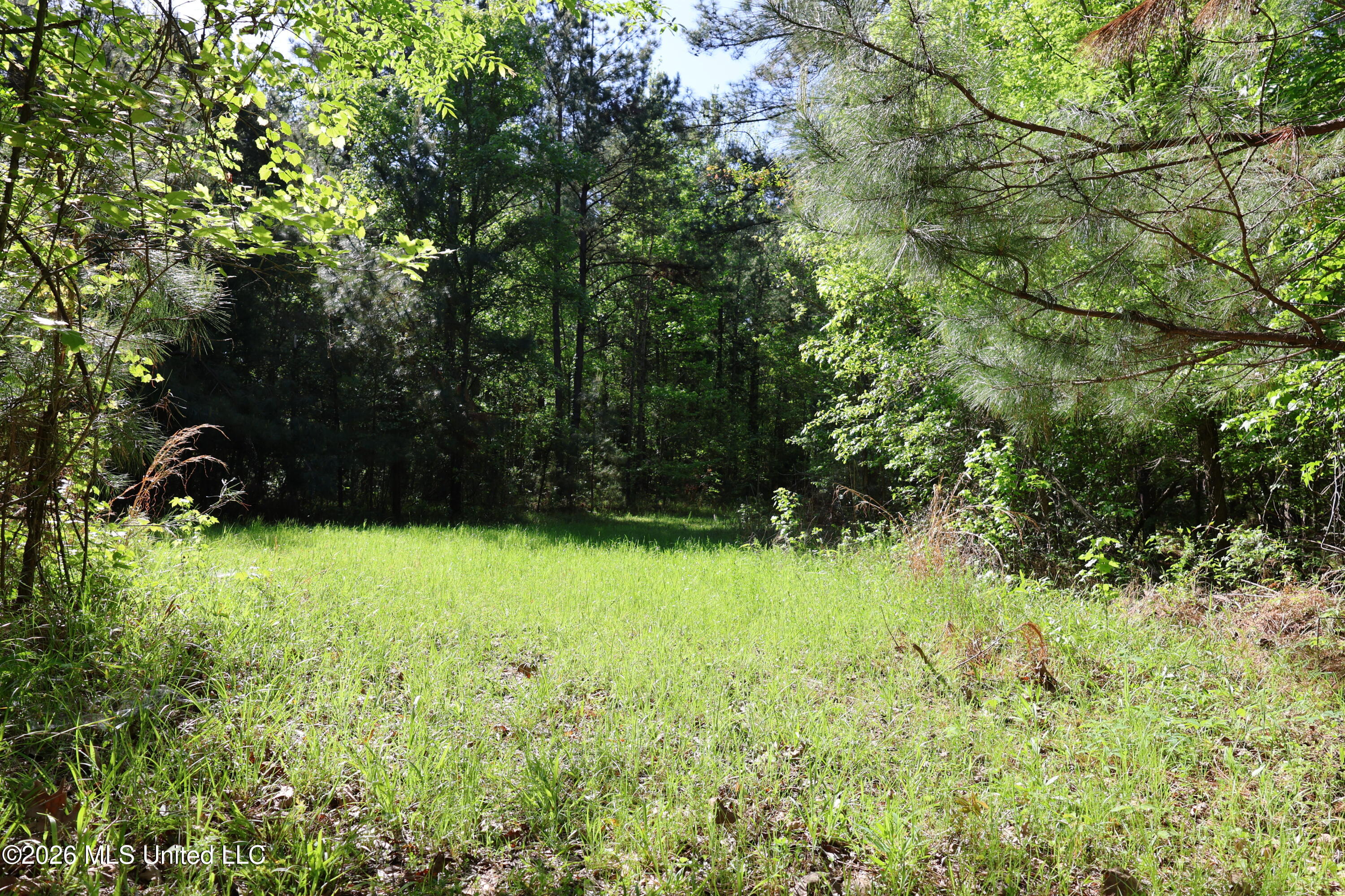 1060 Pearline Bailey Rd Port Port Gibson, MS 39150 - Photo 35 of 64 0699E54D-A6B3-4B46-823F-722238474B5A