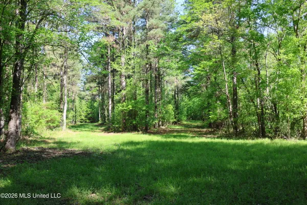 $1,300,000 | 1060 Pearline Bailey Rd Port, Port Gibson, MS 39150