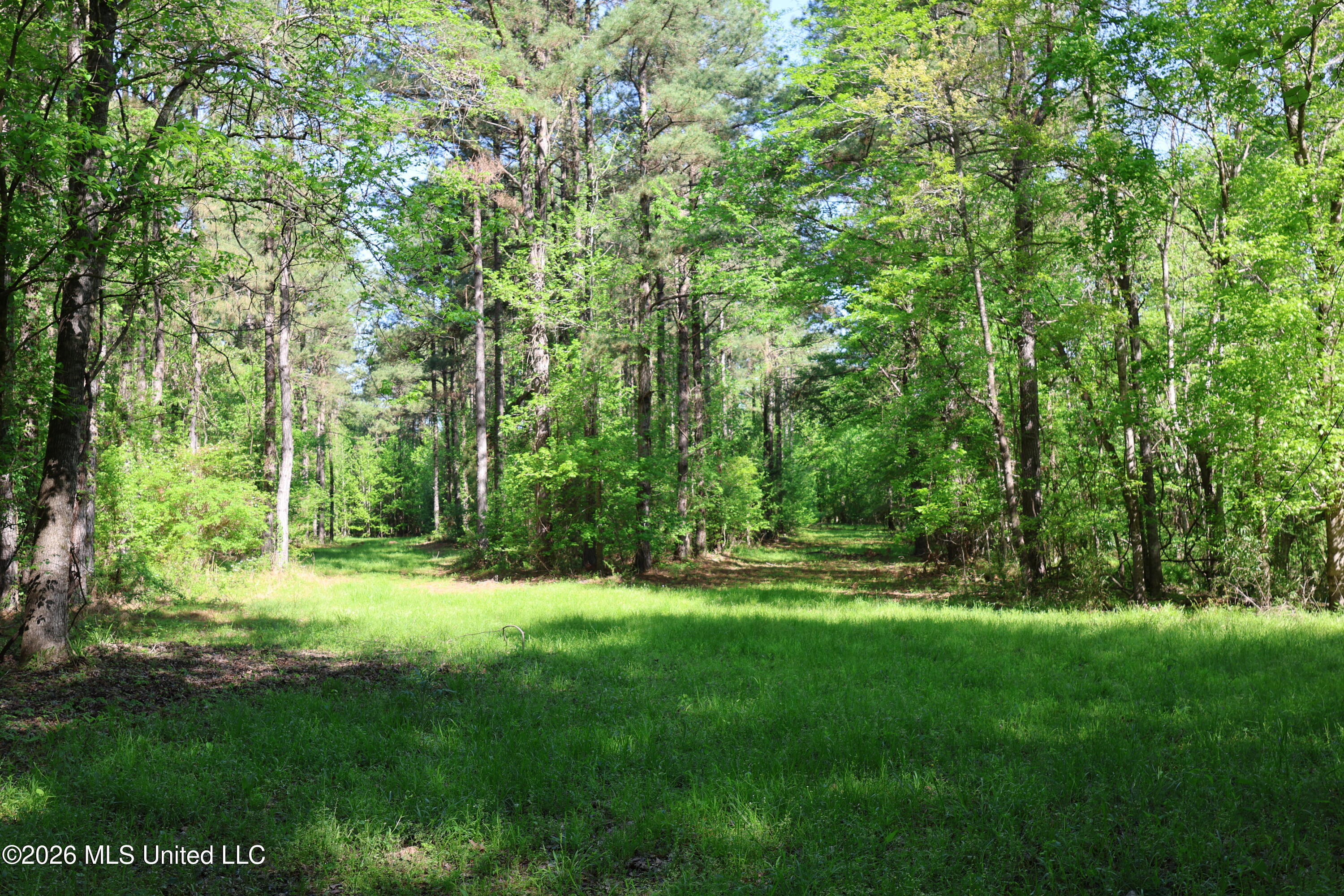 1060 Pearline Bailey Rd Port Port Gibson, MS 39150 - Photo 36 of 64 985F55C1-B641-4E54-A912-6BF3F633F269