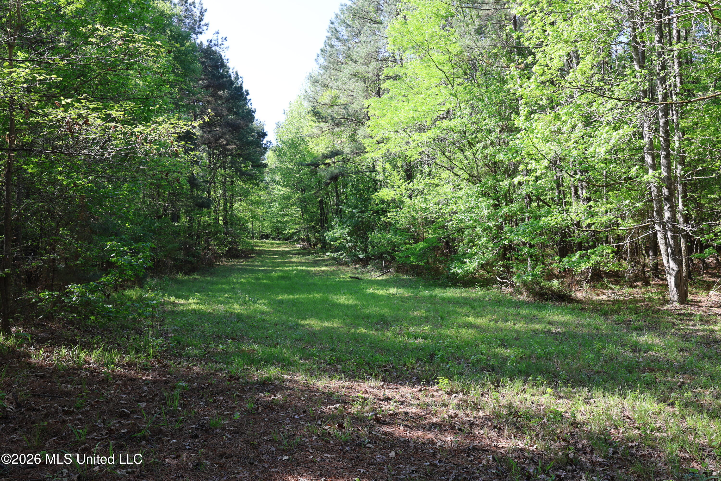 1060 Pearline Bailey Rd Port Port Gibson, MS 39150 - Photo 38 of 64 36513EEF-203F-4E6F-9F72-5D306D09A7B2