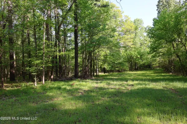 $1,300,000 | 1060 Pearline Bailey Rd Port, Port Gibson, MS 39150