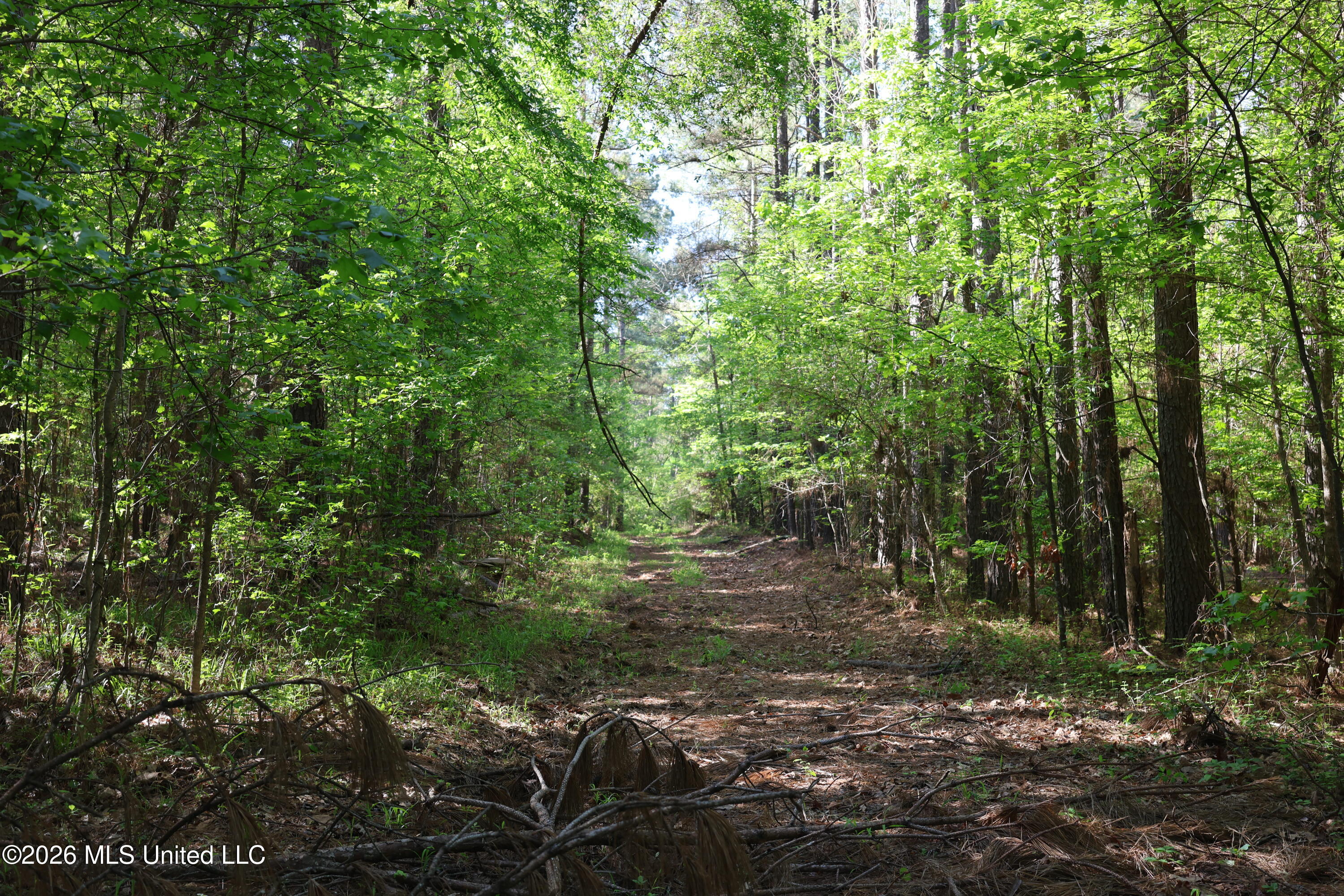 1060 Pearline Bailey Rd Port Port Gibson, MS 39150 - Photo 42 of 64 24964459-643E-4AA1-9D48-D46399C49C92