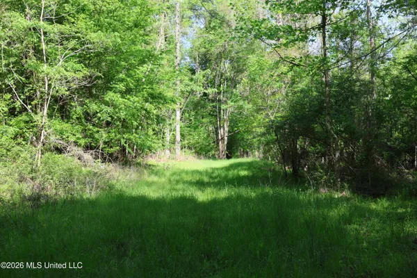 $1,300,000 | 1060 Pearline Bailey Rd Port, Port Gibson, MS 39150