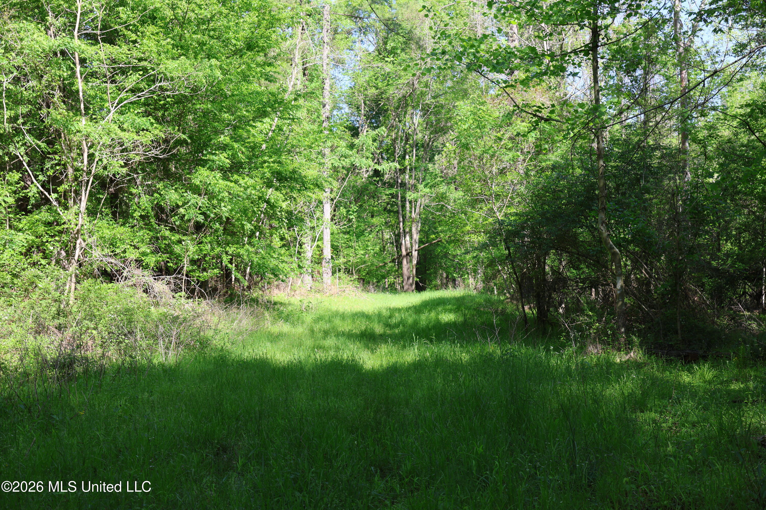 1060 Pearline Bailey Rd Port Port Gibson, MS 39150 - Photo 44 of 64 AFEA4417-86E3-4D3A-829C-272689D41D03
