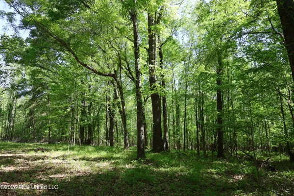 $1,300,000 | 1060 Pearline Bailey Rd Port, Port Gibson, MS 39150