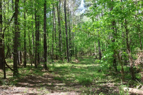 $1,300,000 | 1060 Pearline Bailey Rd Port, Port Gibson, MS 39150