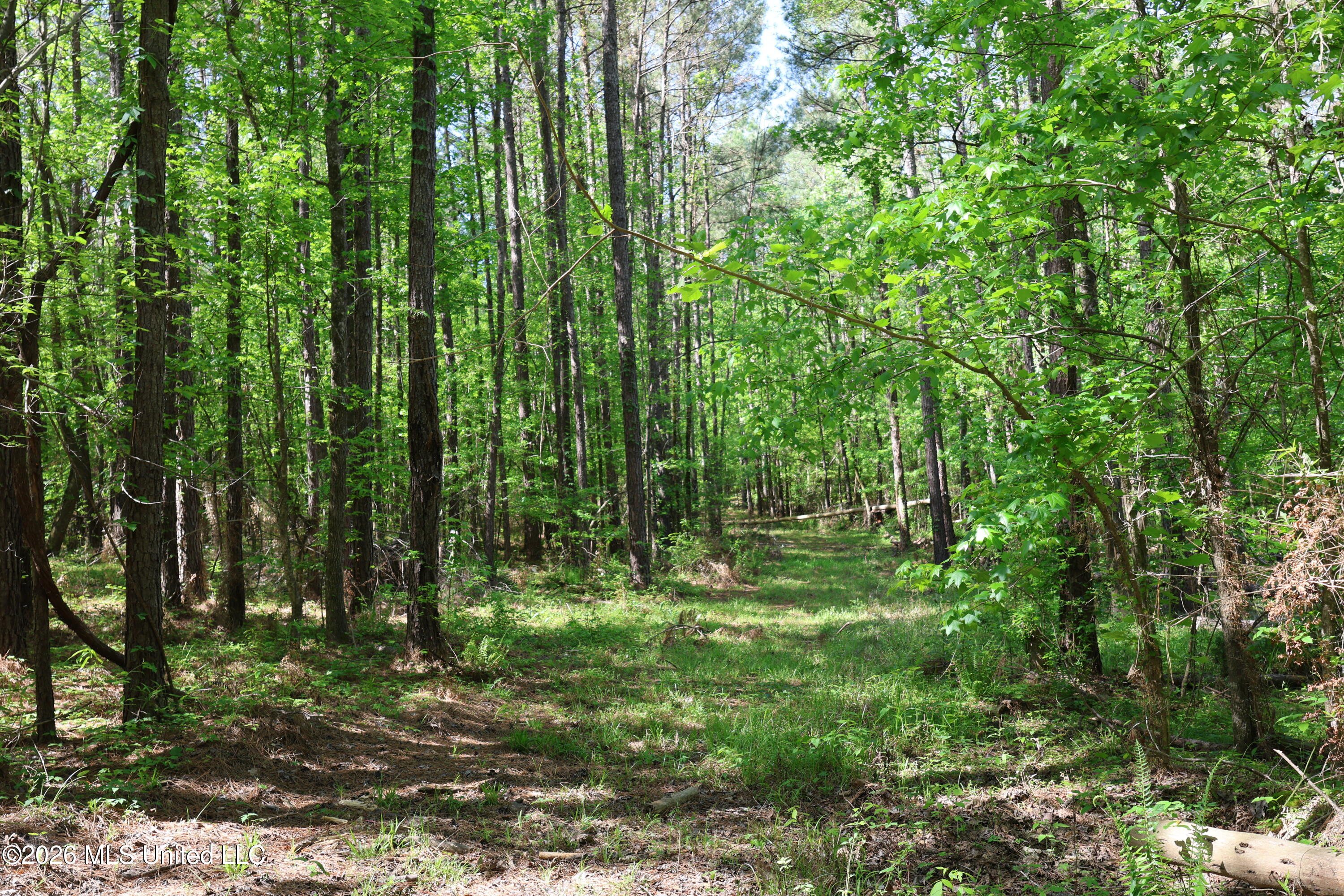 1060 Pearline Bailey Rd Port Port Gibson, MS 39150 - Photo 47 of 64 BA918225-8271-4CBA-AFB7-2F2FF369824C