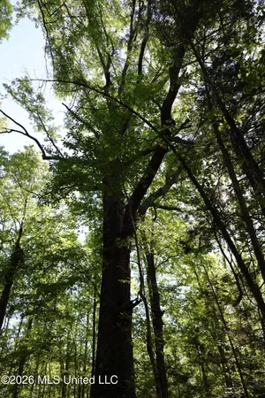 $1,300,000 | 1060 Pearline Bailey Rd Port, Port Gibson, MS 39150