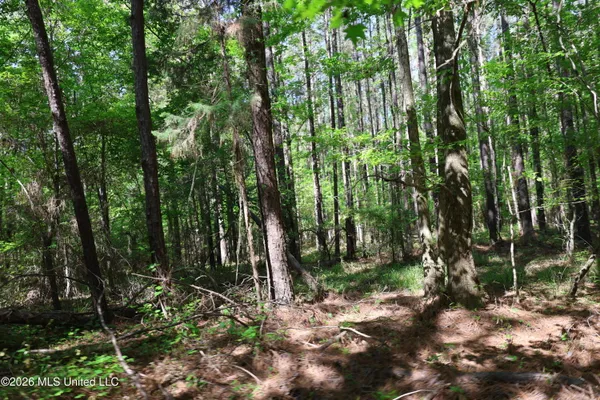 $1,300,000 | 1060 Pearline Bailey Rd Port, Port Gibson, MS 39150