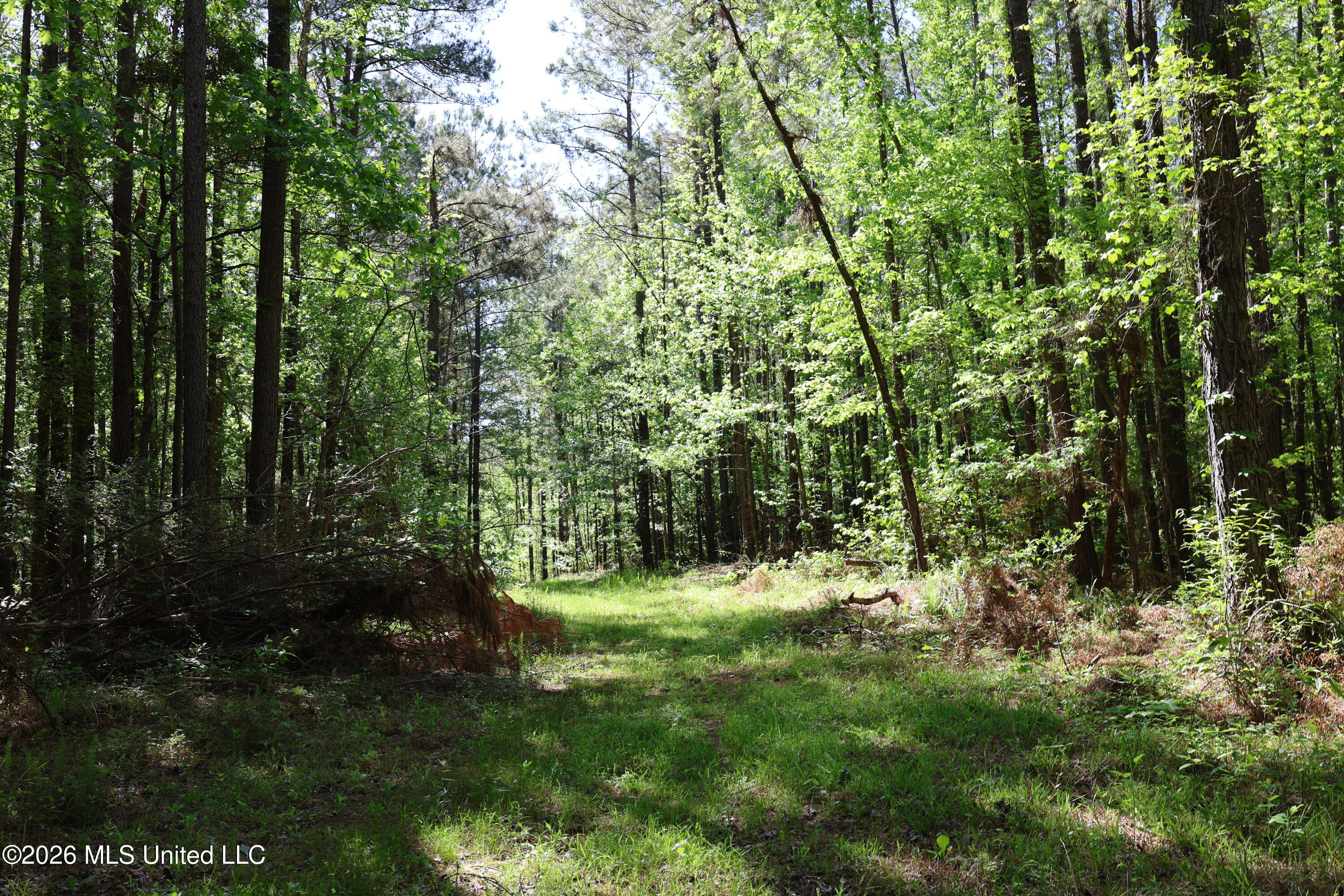 1060 Pearline Bailey Rd Port Port Gibson, MS 39150 - Photo 51 of 64 D85D2DE1-D0DF-4713-BBB2-7F8046F79C43