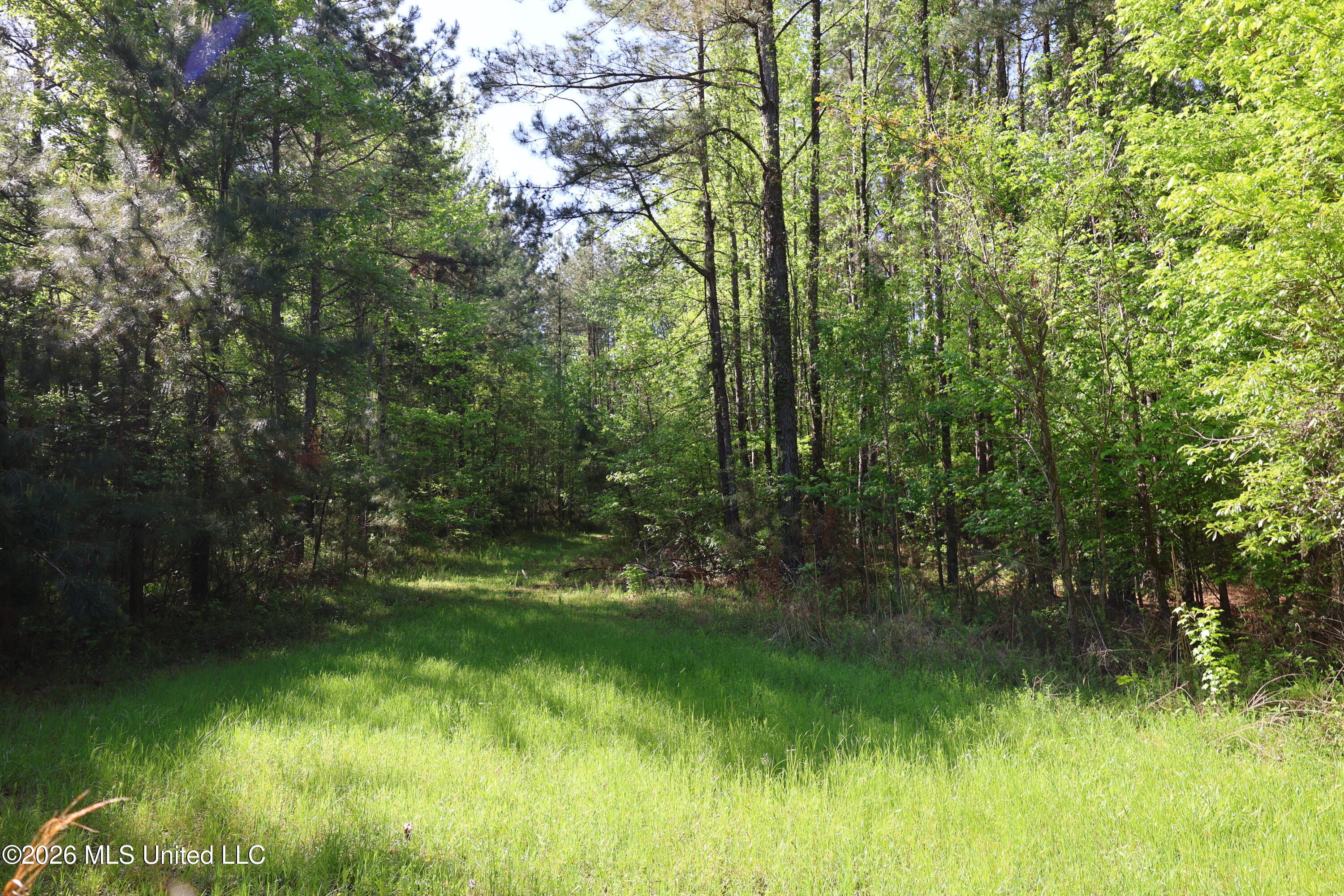 1060 Pearline Bailey Rd Port Port Gibson, MS 39150 - Photo 53 of 64 D744ED1D-FA69-4B41-A82E-C5393E48535D