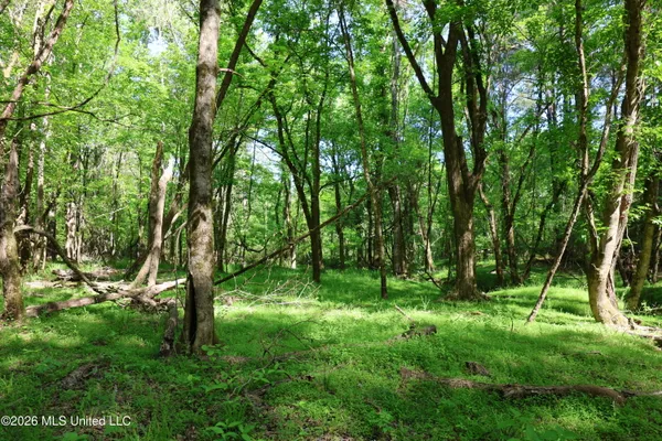 $1,300,000 | 1060 Pearline Bailey Rd Port, Port Gibson, MS 39150