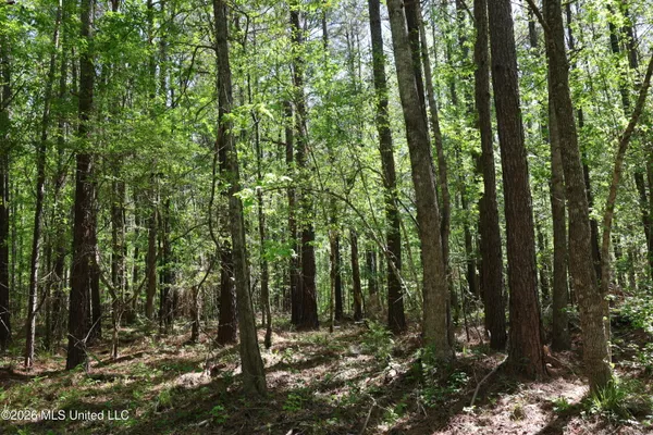 $1,300,000 | 1060 Pearline Bailey Rd Port, Port Gibson, MS 39150