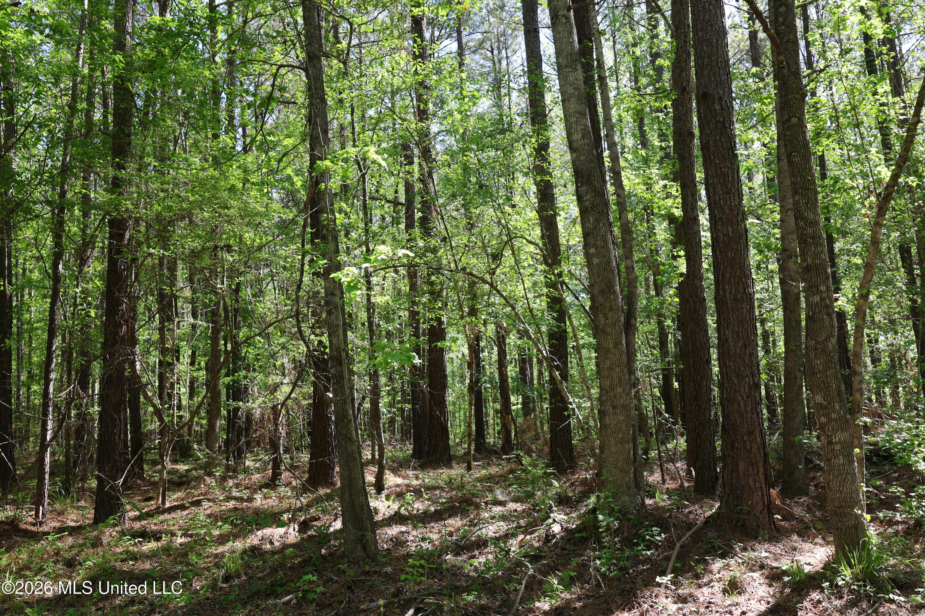 1060 Pearline Bailey Rd Port Port Gibson, MS 39150 - Photo 56 of 64 FFB37330-C1D8-4638-9686-ED44D64AC6B3