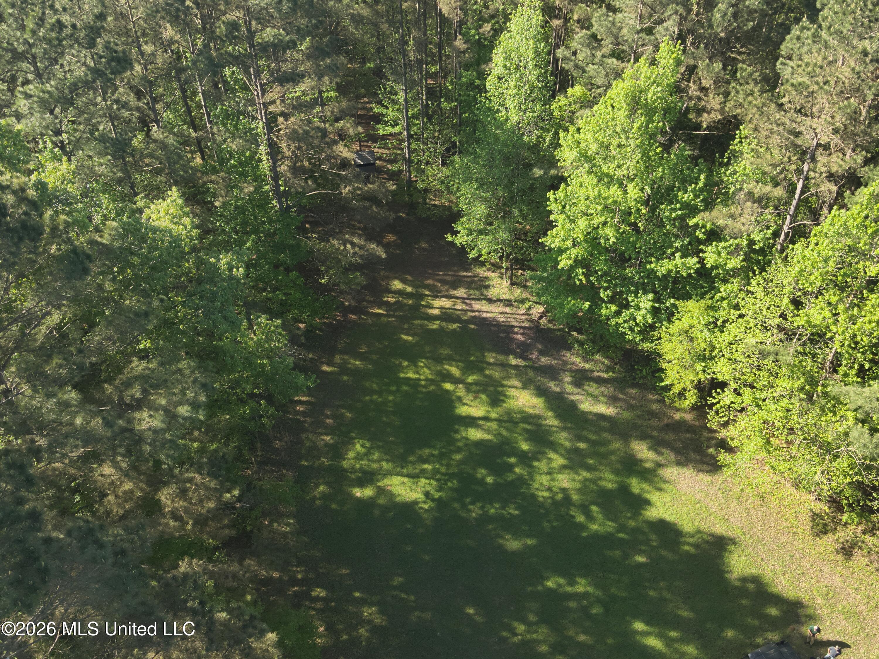 1060 Pearline Bailey Rd Port Port Gibson, MS 39150 - Photo 57 of 64 DJI_20260409093900_0006_V