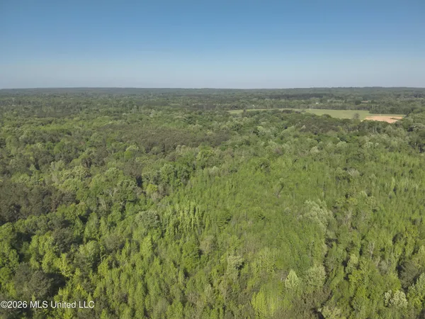 $1,300,000 | 1060 Pearline Bailey Rd Port, Port Gibson, MS 39150