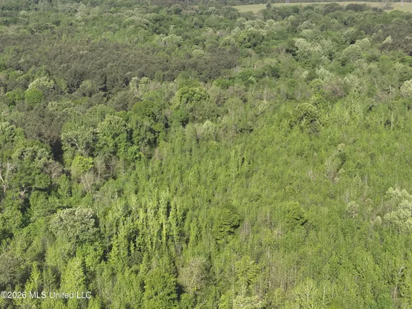 $1,300,000 | 1060 Pearline Bailey Rd Port, Port Gibson, MS 39150