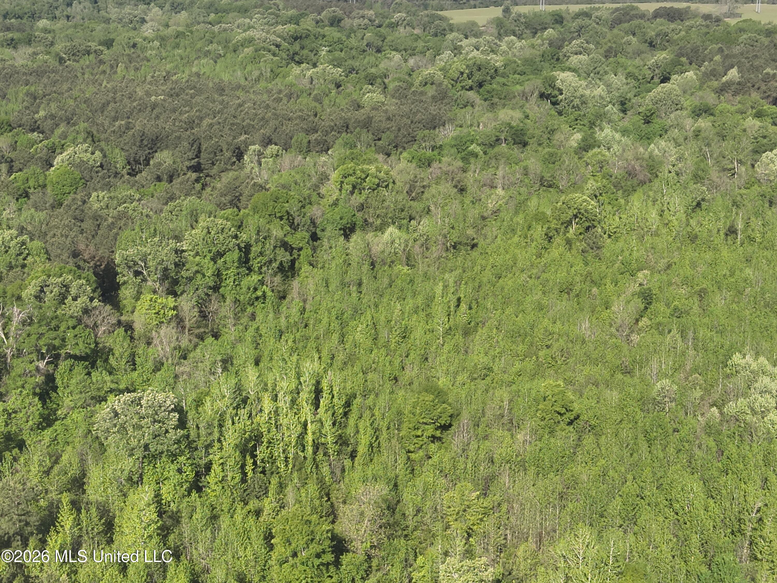 1060 Pearline Bailey Rd Port Port Gibson, MS 39150 - Photo 59 of 64 DJI_20260409093439_0002_V