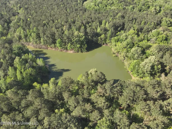 $1,300,000 | 1060 Pearline Bailey Rd Port, Port Gibson, MS 39150