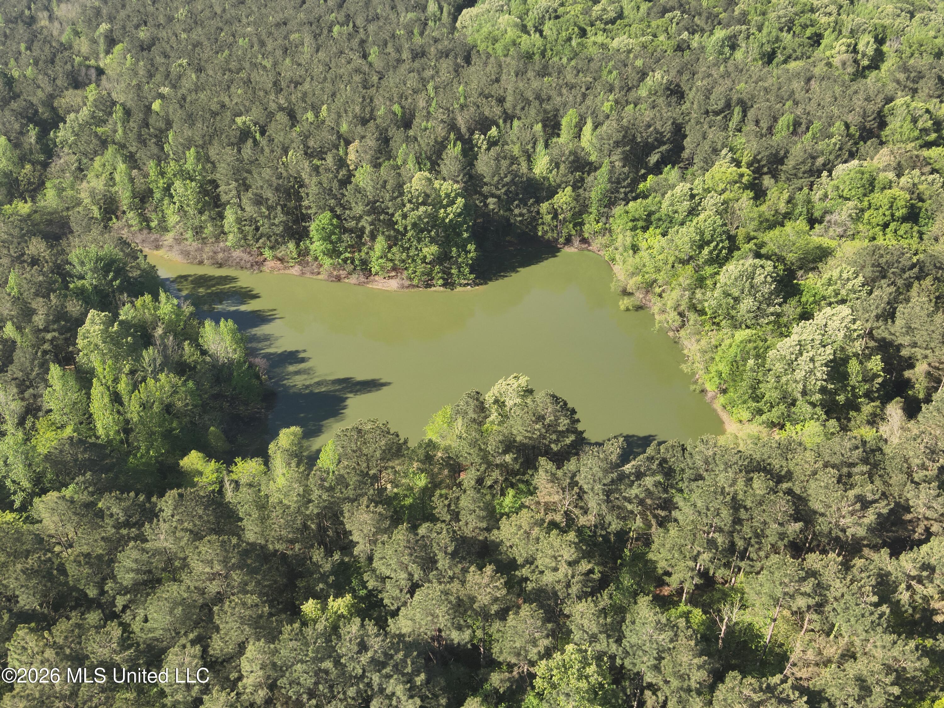1060 Pearline Bailey Rd Port Port Gibson, MS 39150 - Photo 60 of 64 DJI_20260409093537_0004_V