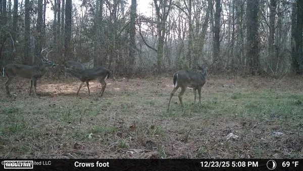 $1,300,000 | 1060 Pearline Bailey Rd Port, Port Gibson, MS 39150