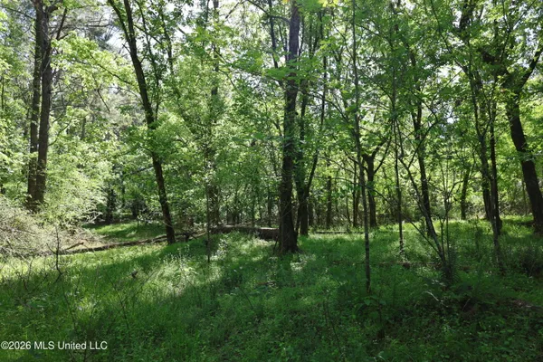 $1,300,000 | 1060 Pearline Bailey Rd Port, Port Gibson, MS 39150