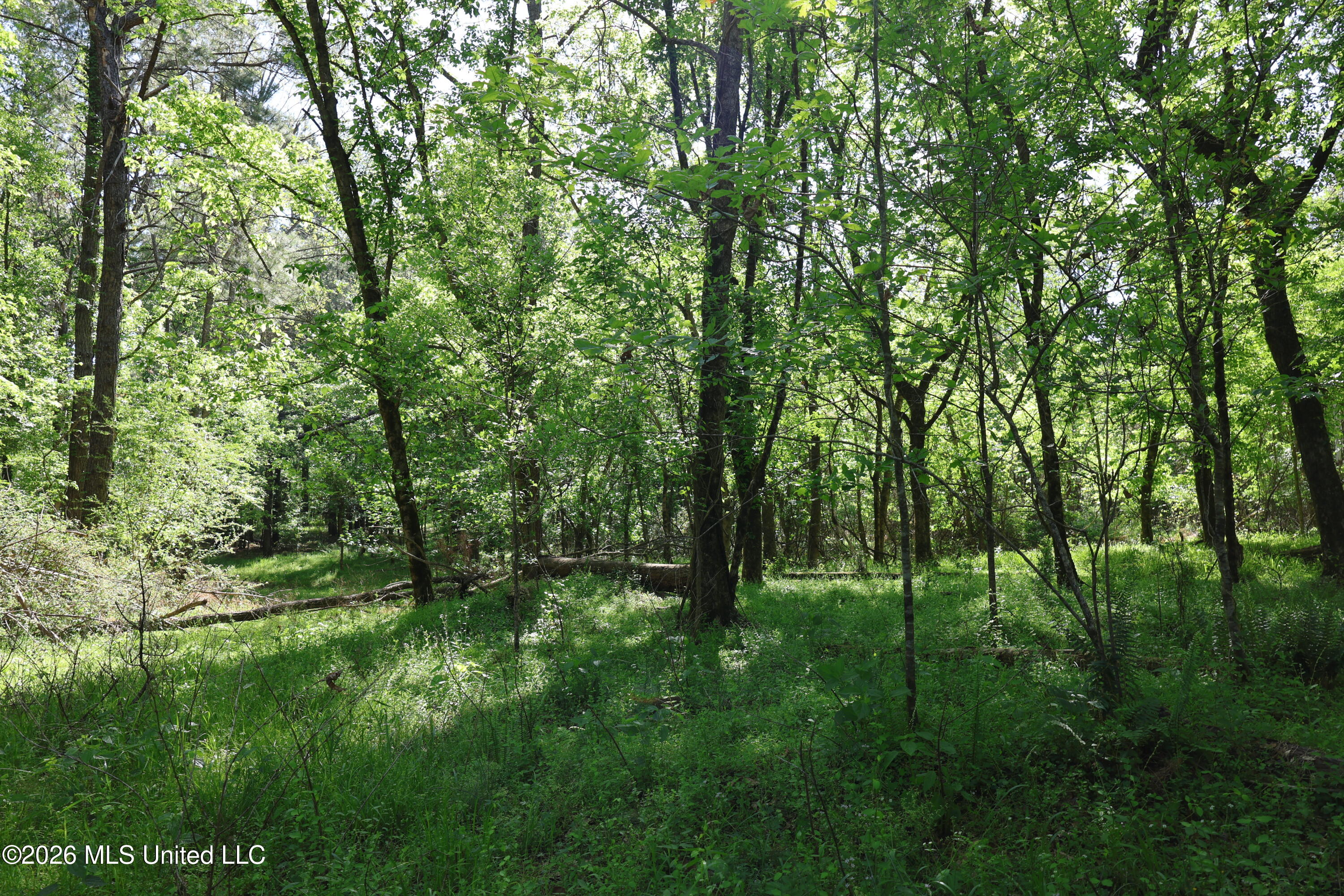 1060 Pearline Bailey Rd Port Port Gibson, MS 39150 - Photo 7 of 64 1A94568F-A1B4-4854-B115-6FC6BF88408A