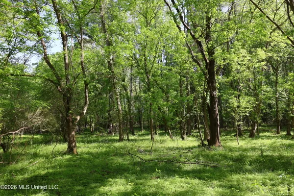 $1,300,000 | 1060 Pearline Bailey Rd Port, Port Gibson, MS 39150