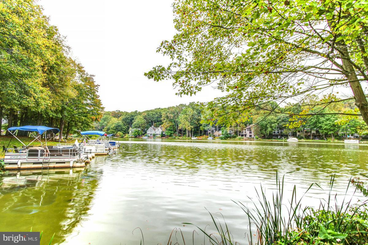 2225 Wakerobin Lane Reston, VA 20191 - Photo 1 of 30 a view of a lake with a yard and a large trees