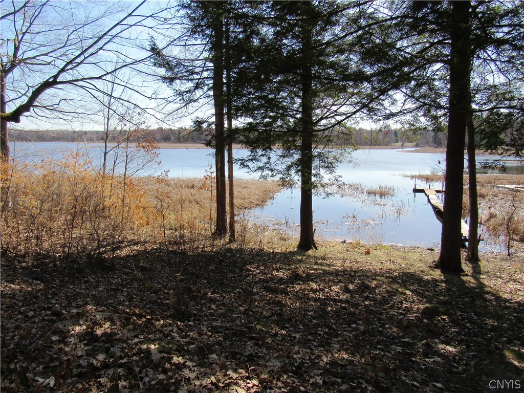 0 Cronk Road Sackets Harbor, NY 13685 - Photo 1 of 1 Gallery Image 1