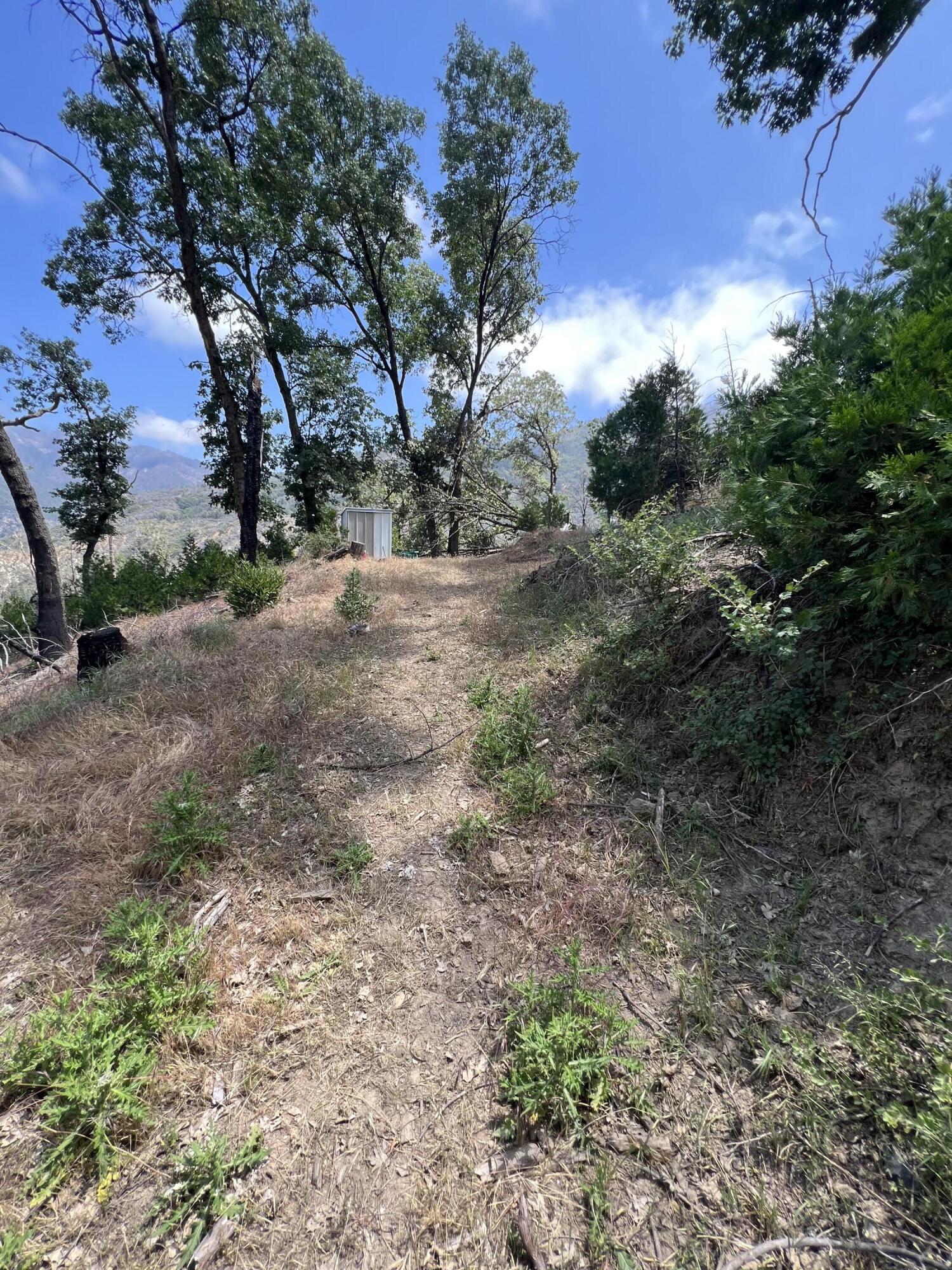 0 Balch Park Road Springville, CA 93265 - Photo 22 of 27 a view of dirt yard with a large tree
