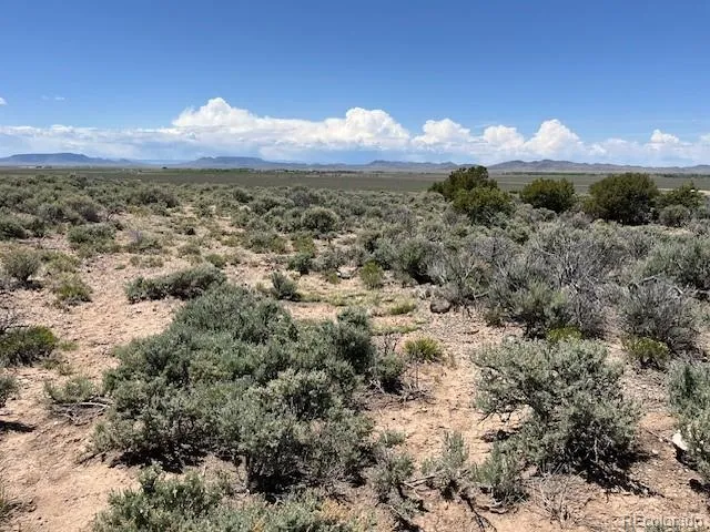 a view of a sky from a yard