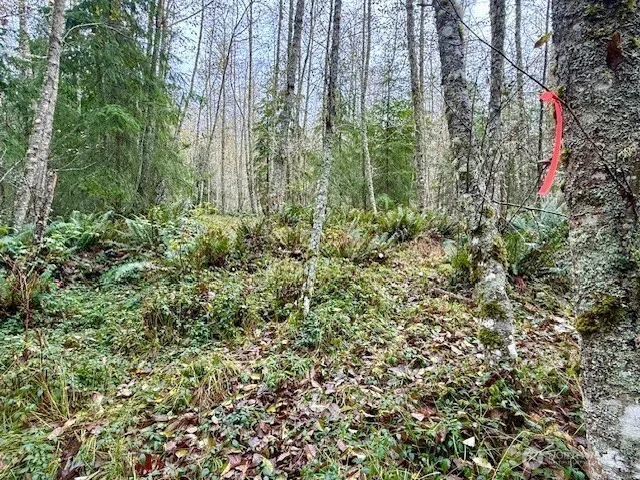 $200,000 | 0 Old County Road, Greenbank, WA 98253