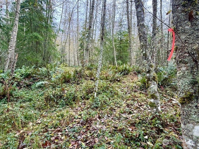 0 Old County Road Greenbank, WA 98253 - Photo 11 of 16 Gallery Image 11