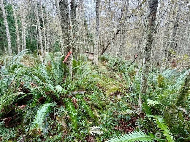 $200,000 | 0 Old County Road, Greenbank, WA 98253