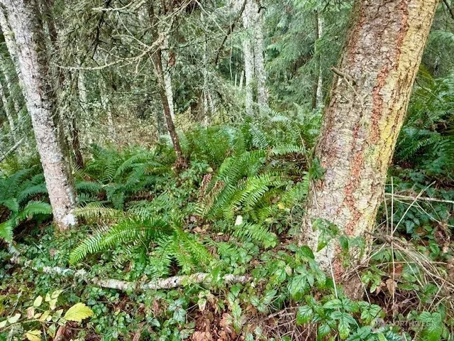 $200,000 | 0 Old County Road, Greenbank, WA 98253