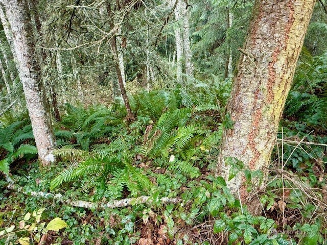 0 Old County Road Greenbank, WA 98253 - Photo 13 of 16 Gallery Image 13
