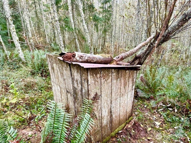 0 Old County Road Greenbank, WA 98253 - Photo 14 of 16 Gallery Image 14