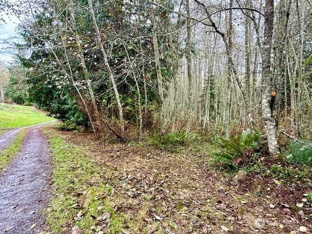 $200,000 | 0 Old County Road, Greenbank, WA 98253
