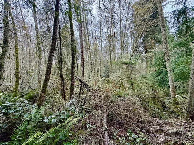 $200,000 | 0 Old County Road, Greenbank, WA 98253