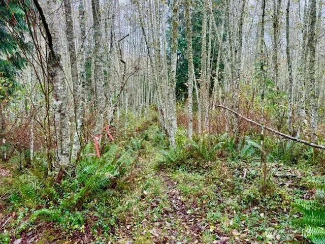 $200,000 | 0 Old County Road, Greenbank, WA 98253