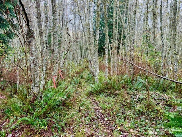 0 Old County Road Greenbank, WA 98253 - Photo 6 of 16 Gallery Image 6
