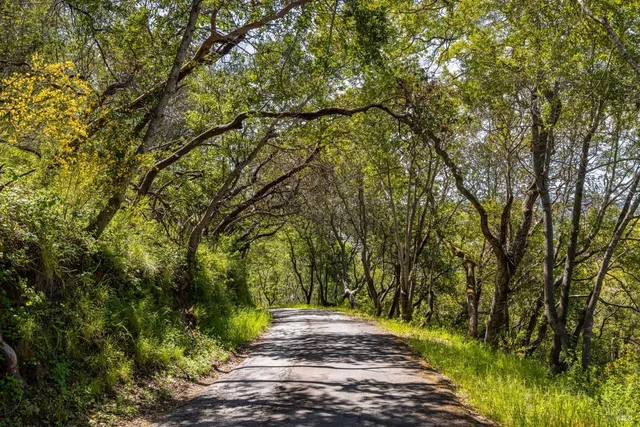 $299,000 | 141 Granlee Road, San Rafael, CA 94903