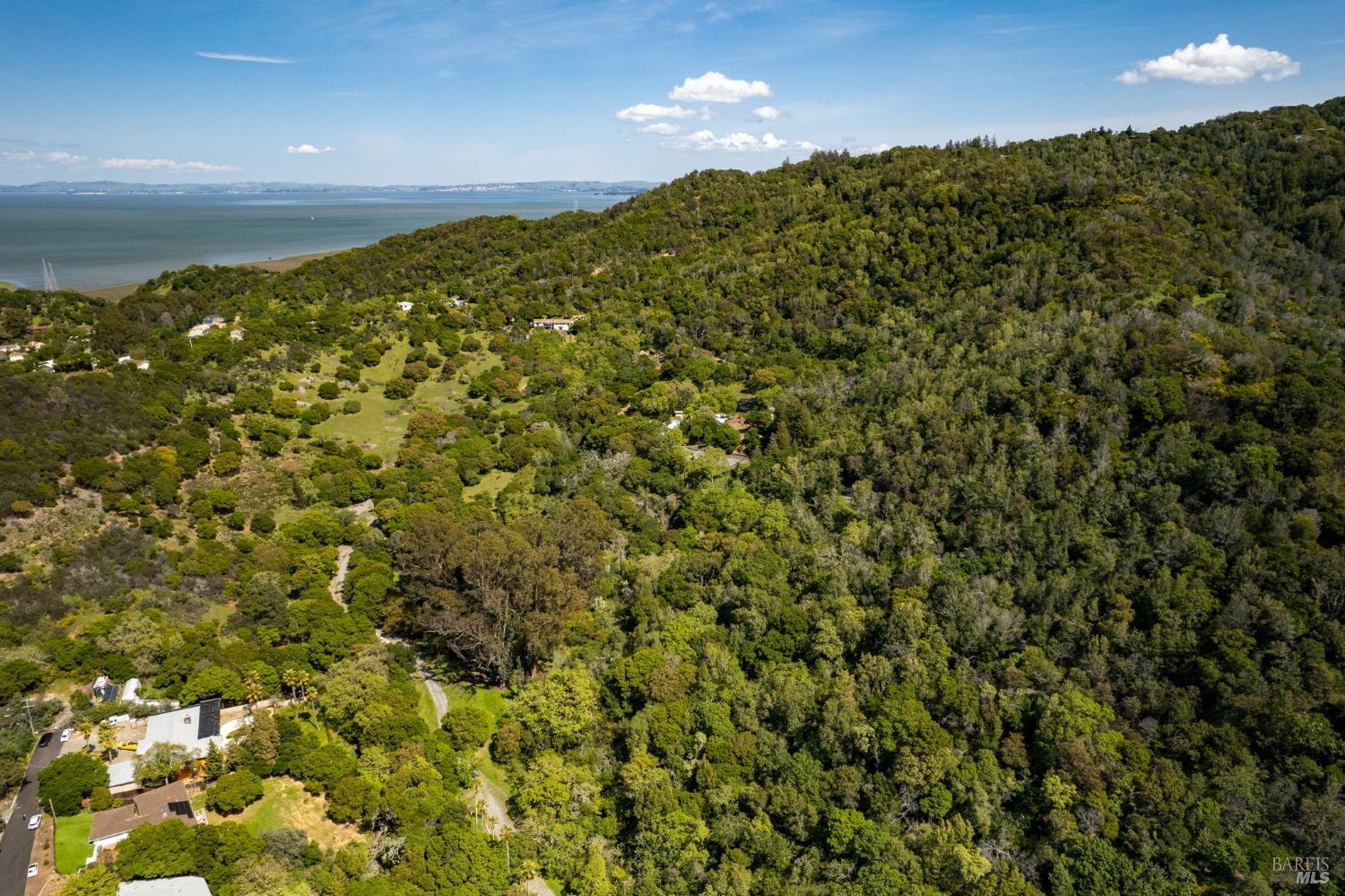 141 Granlee Road San Rafael, CA 94903 - Photo 14 of 17