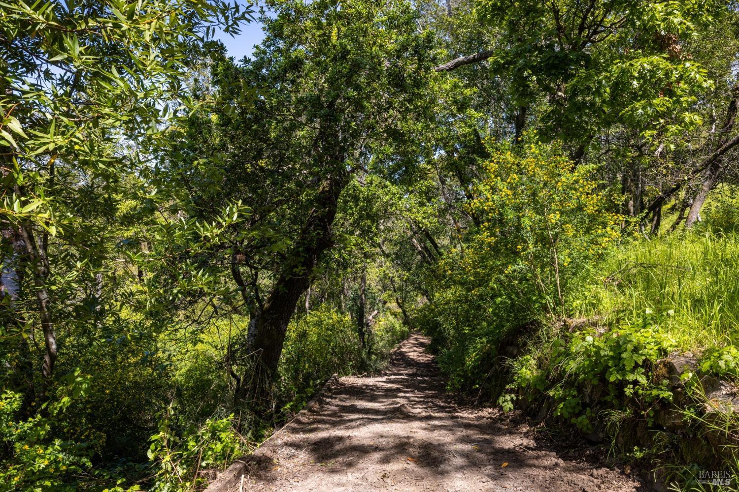 141 Granlee Road San Rafael, CA 94903 - Photo 2 of 17