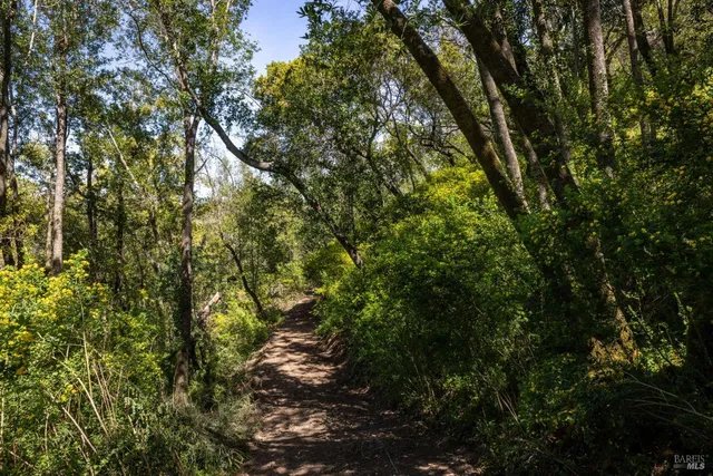 $299,000 | 141 Granlee Road, San Rafael, CA 94903