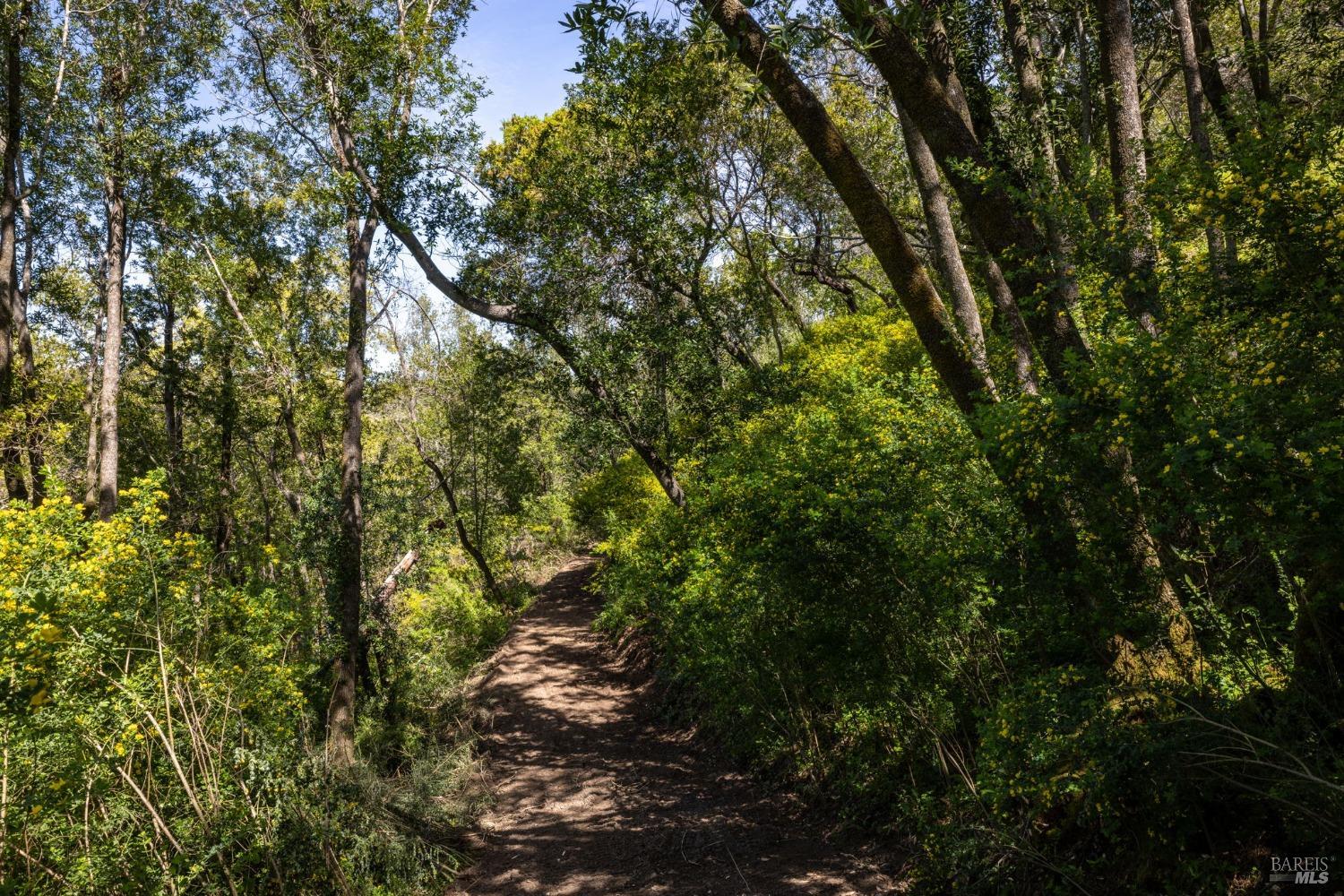 141 Granlee Road San Rafael, CA 94903 - Photo 3 of 17