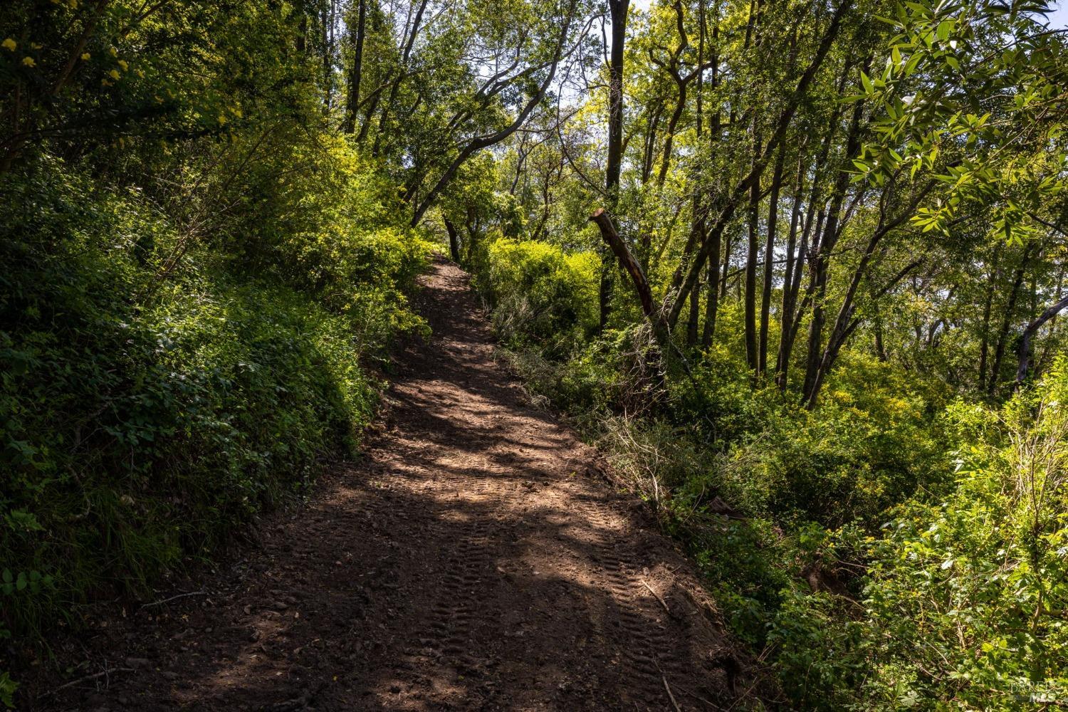 141 Granlee Road San Rafael, CA 94903 - Photo 4 of 17