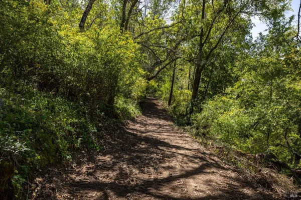 $299,000 | 141 Granlee Road, San Rafael, CA 94903